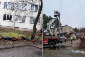 Stipraus vėjo padariniai Kaune: dalis Romainių liko be elektros, virto medžiai, nuplėšta stogo danga