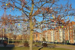 Mokyklos ąžuoliuką papuošė margučiais