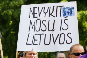 Ant palinkusio karklo visos ožkos lipa