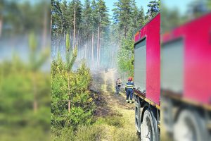 Miško gaisrą Kretingos rajone gesino didžiulės pajėgos
