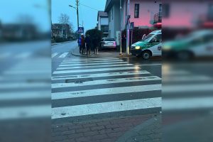 Palangoje nuo policijos bėgęs neblaivus vairuotojas atsitrenkė į namo tvorą