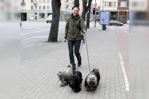 Džiugins pavasariški orai