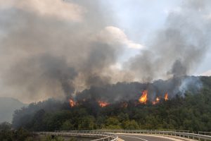 Šiaurės Makedonija per karščius ir pučiant stipriems vėjams kovoja su miškų gaisrais