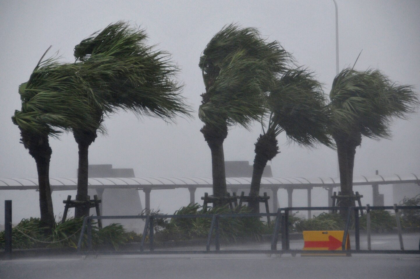 Japonijoje siaučiant taifūnui „Vongfong“ žuvo vienas žmogus, dingo du