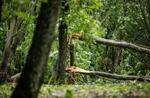 NKVC dėl audros nuostolių skelbti ekstremalios situacijos nerekomenduoja