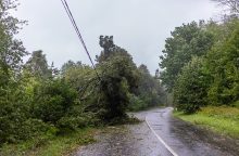 ESO: užsitęsus smarkiam vėjui, daliai vartotojų elektros tiekimas nutrūko ir pirmadienį