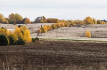 Keičiasi reikalavimai mėšlu laukus tręšiantiems ūkininkams