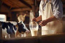 Patobulintą pieno įstatymo projektą sukritikavo ir ūkininkai, ir perdirbėjai