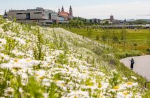 Vilniaus šienavimo sezonas: tarp patogumo miestiečiams ir tvarumo