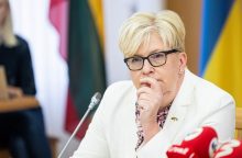 Premjerė: Lietuvai reikia kalbėti apie EK portfelį, kuris stiprintų pačią ES