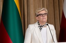 I. Šimonytė: Rusijos vykdomi GPS trikdžiai nukreipti prieš visas Ukrainos sąjungininkes