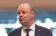 S. Skvernelis apie V. Blinkevičiūtės sprendimą: pasitikėjimo daugiau neįneša