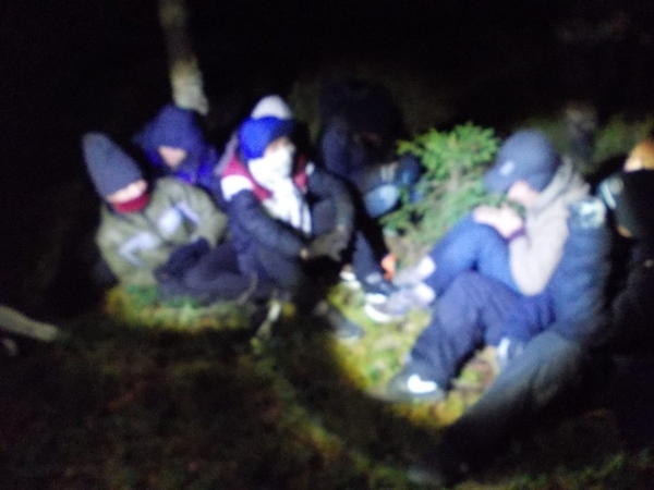 Į migrantų paiešką pasitelktas ir tarnybinis šuo, ir sraigtasparnis