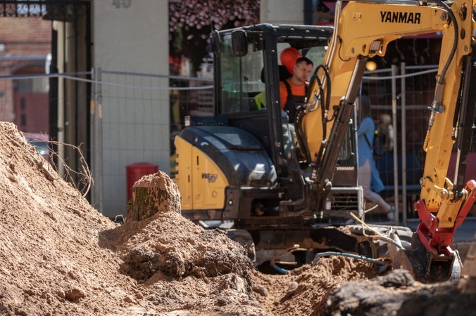 Į medžių pjovimą vis dar reaguojama jautriai: šį kartą nerimas – iš Laisvės alėjos