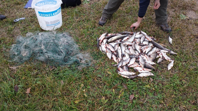 Aplinkosaugininkai nepatenkinti kratomis