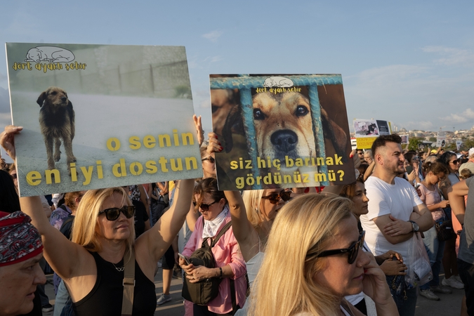Tūkstančiai turkų protestavo prieš prieštaringą beglobių gyvūnų kontrolės įstatymą