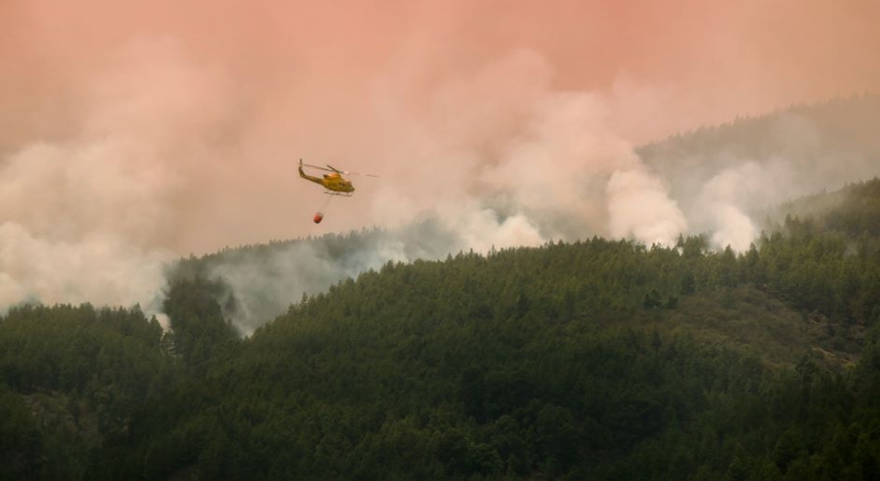 Ispanijos premjeras tikisi, kad gaisras Tenerifėje stabilizuosis artimiausiu metu