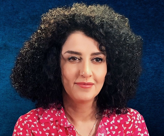 N. Mohammadi.