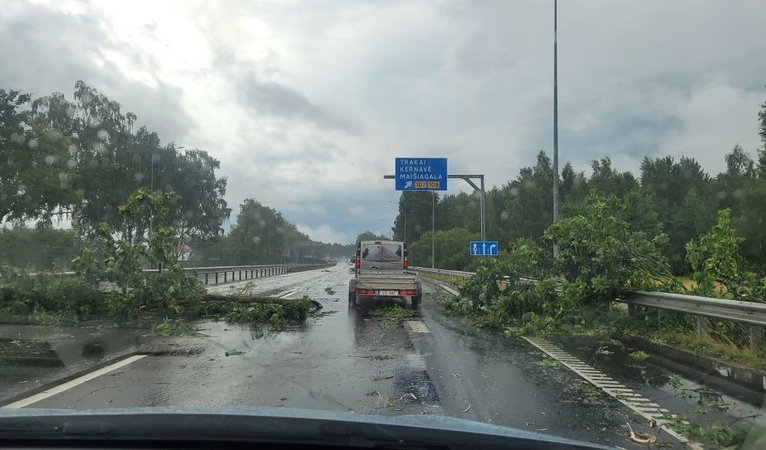 Ugniagesiai pirmadienį per 20 kartų vyko šalinti audros išverstų medžių
