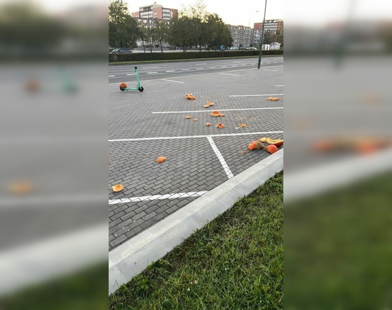 Pamoka: kiek iš viso buvo suniokota moliūgų, neskaičiuota, tačiau tikimasi, kad daugiau tokių įvykių nebus.