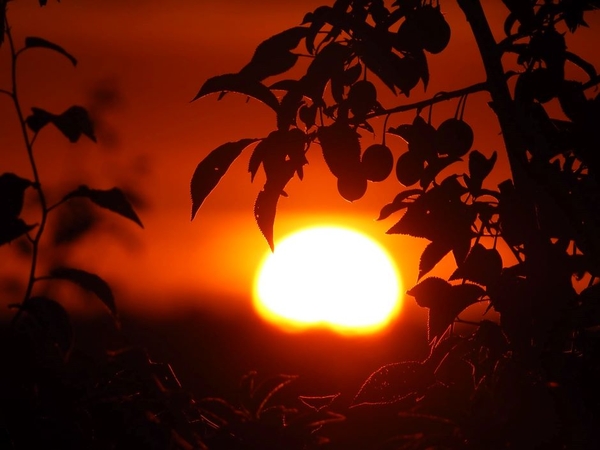 Kada sulauksime šiltesnių orų?