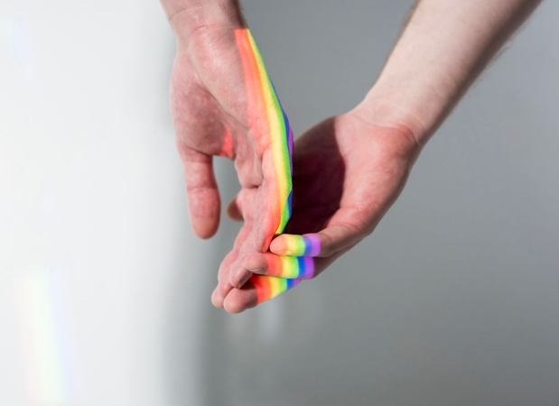 ES šalys smerkia Vengrijos bandymą uždrausti „Pride“ renginius