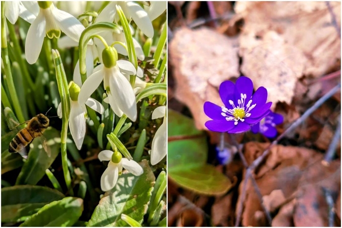 Trečią dieną iš eilės – šilumos rekordas