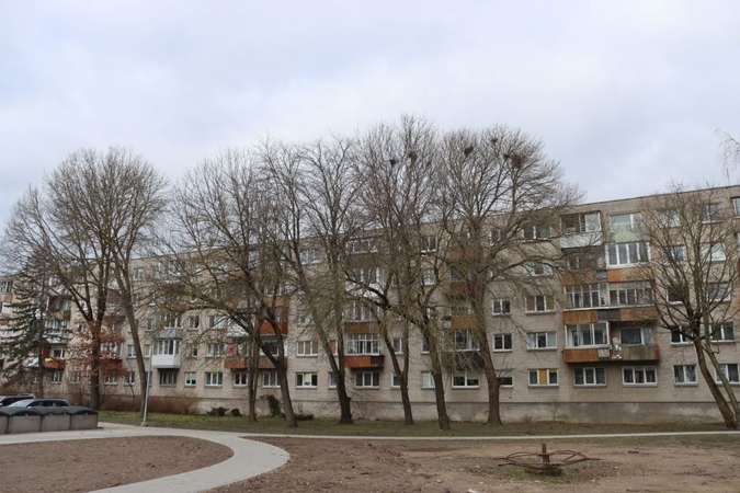 Viltys: tikimasi, kad vis dėlto paukščių lizdų Kauno gatvės 39-ojo namo kiemo liepose neliks.