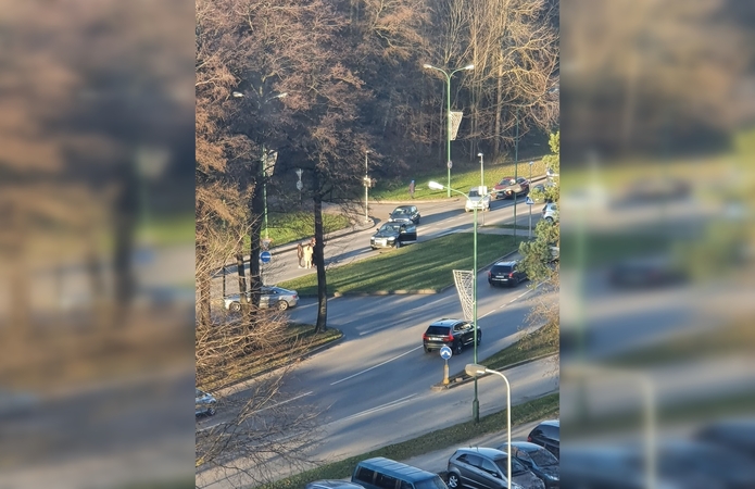 Po tragiškos nelaimės Liepojos gatvėje – klausimai: perėja atitinka visus saugumo reikalavimus?