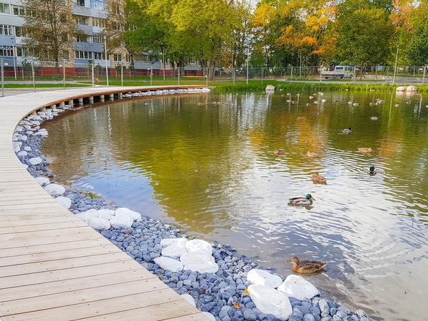 Ąžuolyno giraitės sutvarkymas – pabaigos link