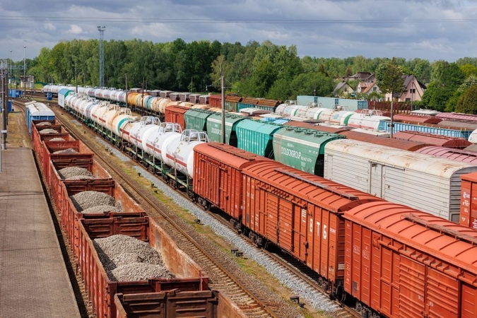 D. Žvironas: ES sankcijų įgyvendinimas yra sudėtingas