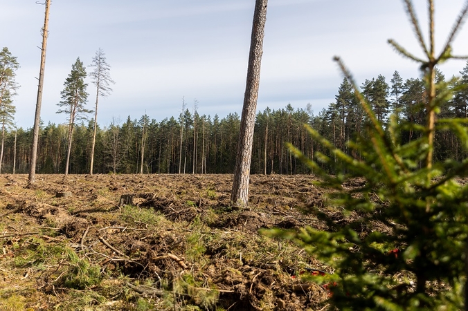 Seime – ginčas dėl kompensacijų  