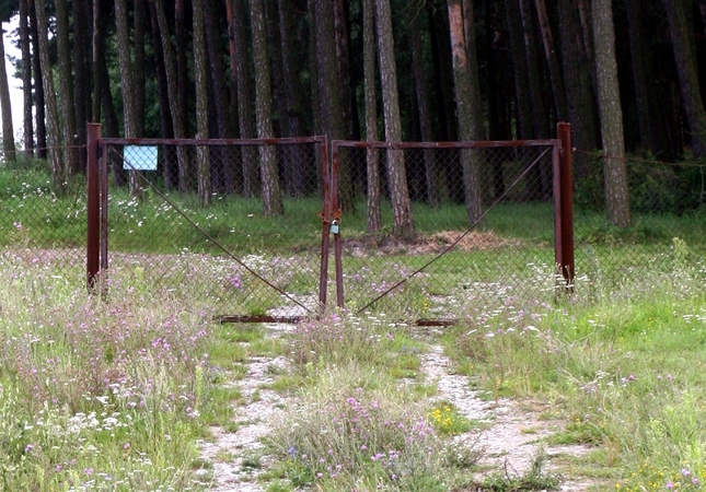 Uždrausta lankytis Pasvalio, Biržų, Marijampolės apylinkėse esančiuose miškuose