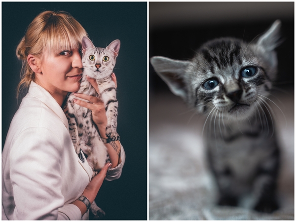 Egipto mau katės – ir šeimos narės, ir kompanionės