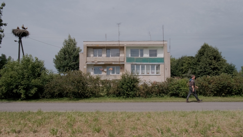 M. Nemčenko meditacija gandrų migracijos keliais