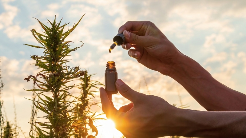 Ar CBD gali padėti širdies darbui arba užkirsti kelią kraujotakos ligoms?