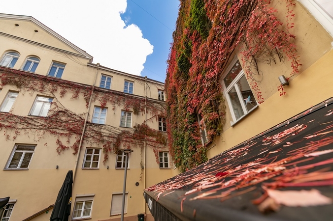 Sostinė ieškos naujo Vilniaus mokytojų kiemelio nuomininko