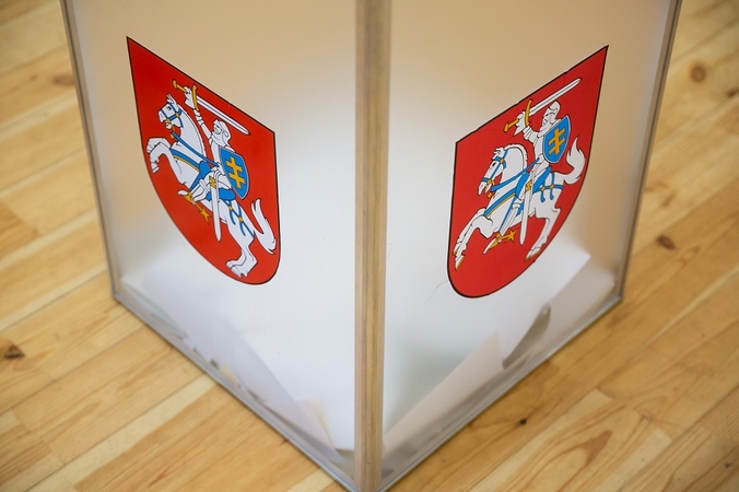 Raseinių-Kėdainių Seimo nario rinkimuose balsavo 29,59 proc. rinkėjų