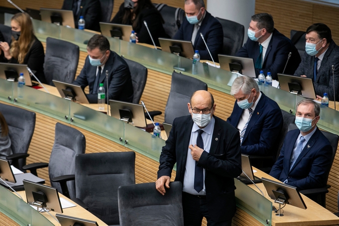 Seimas jau sudarė devynias komisijas