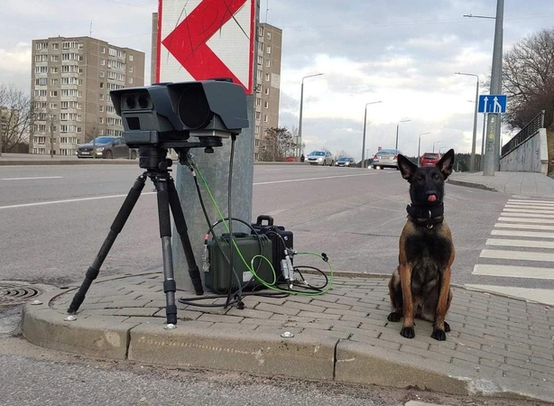 Policija pasidalijo išskirtiniu kadru: pažeidėjus gaudo trikojis ir keturkojis