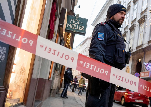 Policija: šaudynės Vienoje susijusios su Balkanų mafija