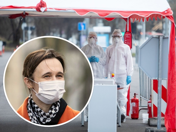 Seimo pirmininkė patvirtino: valdantieji telkia balsus atmesti veto dėl mokamų testų