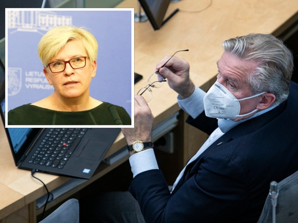 I. Šimonytė: apie ministrų atstatydinimą kalbantis A. Ažubalis nėra visa konservatorių partija
