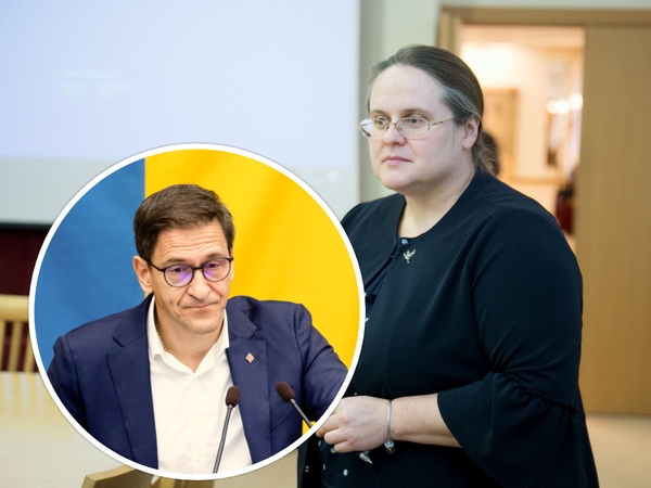 A. Širinskienė: tikiuosi, kad konservatoriai apskųs D. Kreivį ir išsiaiškins