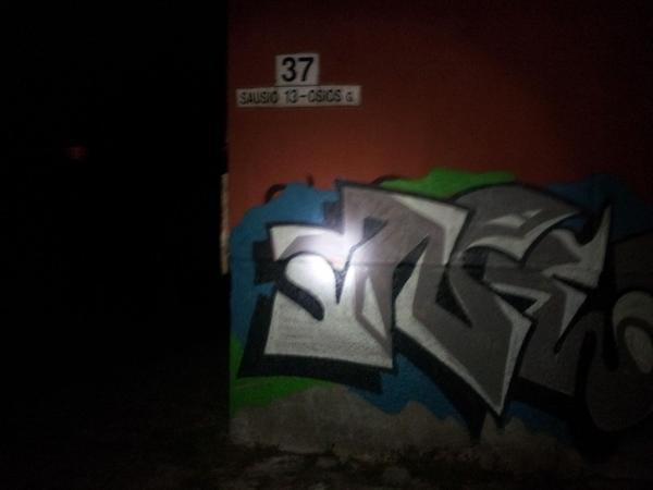 Vilniuje sulaikytas sienų tepliotojas