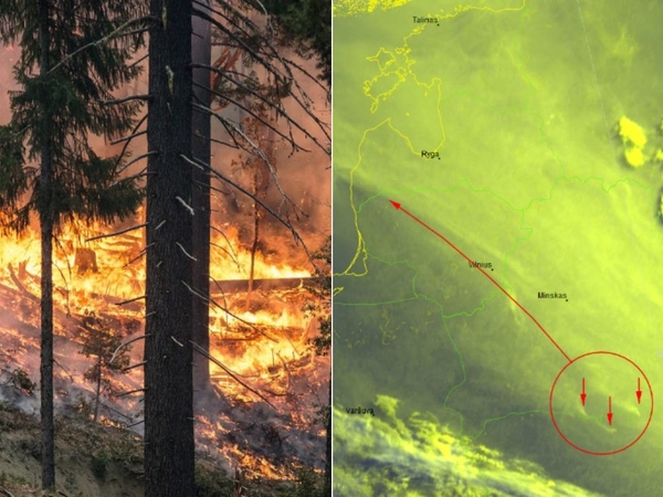 Įspėja dėl svilėsių kvapo: dega miškai, vėjas atgena dūmus iš Baltarusijos