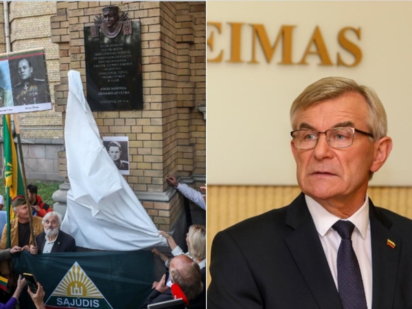 V. Pranckietis apie lentą J. Noreikai: tai neturėtų būti įgyvendinama šturmu