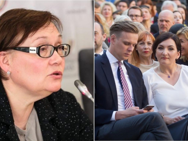 A. Maldeikienė: „Vaikystės sodelių“ cinizmas šokiruoja