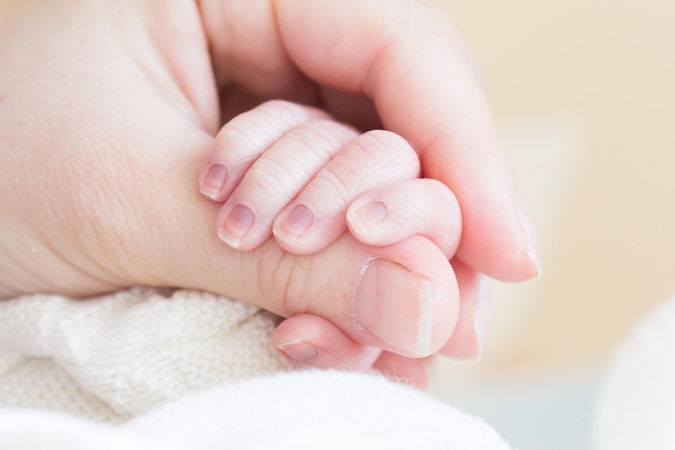 Apvaisinimas mėgintuvėlyje: svarbiausi klausimai ir atsakymai