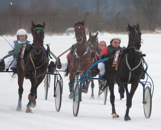 Dusetos laukia "Sartų 2015" šventės